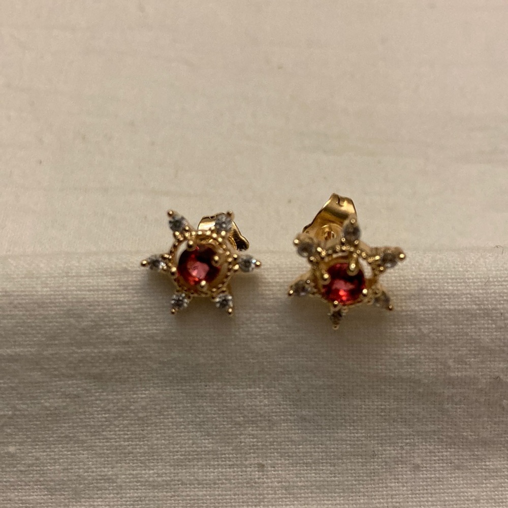 Gold plated earrings